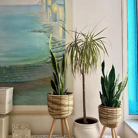 Apartment Seahorse